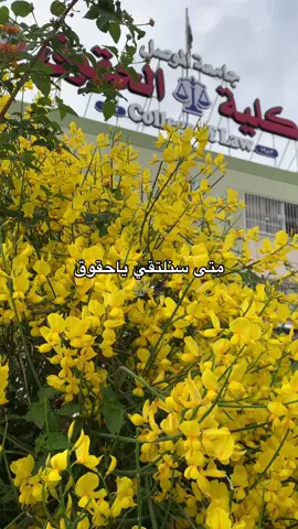 #القانون#اكسبلور#كلية_الحقوق#كلية_القانون#المحاماه#المحامي#المحامية#نقابة_المحامين#العراق#جامعة_الموصل#الموصل#بغداد#تخرج#طلاب#طالبات#جامعات#القانوني#القانونية#ترند#انستقرام#فولو#law#⚖️#اكسبلورر