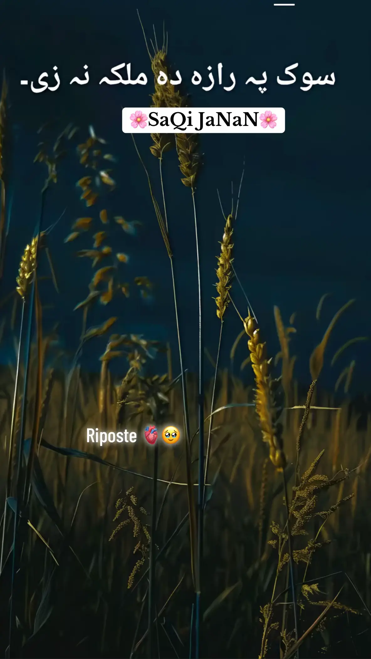 #song #هزاره_پشتو_ازبک_تاجیک_افغان_هم_وطن😍 #foryou🙆‍♂️🌻 #fullsong #هزاره_پشتو_ازبک_افغان_هم_وطن🇦🇫🇦🇫🇦🇫 