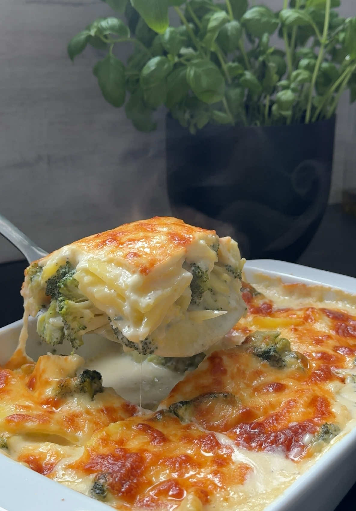 So liebe ich Kartoffelauflauf am meisten: Er ist schön cremig und sehr aromatisch. Viel Spaß beim Kochen! Kartoffel-Brokkoli-Auflauf Zutaten: - 650-700 g Kartoffeln (geschält) - 500 g Brokkoli Für die Sauce: - 550 ml Milch - 200 ml Sahne - 40 g Butter - 1 Zwiebel (gewürfelt) - 3 Knoblauchzehen (gehackt) - 1 gehäufter Esslöffel Mehl - 1 Stange frischer Thymian - 1 Stange frischer Rosmarin - 1 TL Pfeffer - Eine Prise Muskatnuss - Salz nach Geschmack - Geriebener Käse (z. B. Gouda und Mozzarella) ▫️▫️▫️ Zubereitung: Die geschälten Kartoffeln gründlich waschen und mit einer Reibe in dünne Scheiben reiben. Den Brokkoli in Röschen teilen und gegebenenfalls halbieren. ▫️▫️▫️ In einem Topf die Butter zerlassen und die gewürfelte Zwiebel sowie den gehackten Knoblauch darin anbraten, bis sie glasig sind. Anschließend das Mehl hinzufügen und kurz anschwitzen. Milch und Sahne nach und nach einrühren, dann die frischen Kräuter sowie die Gewürze hinzufügen und alles zum Kochen bringen. ▫️▫️▫️ Die Kartoffelscheiben in die Sauce geben und bei mittlerer Hitze etwa 10-12 Minuten köcheln lassen, dabei gelegentlich umrühren. Nach dieser Zeit den Brokkoli hinzufügen und weitere 5 Minuten mitkochen. ▫️▫️▫️ Die gesamte Mischung in eine Auflaufform geben, nach Belieben mit geriebenem Käse bestreuen und im vorgeheizten Backofen bei 180 Grad goldbraun ausbacken.  Dazu passen Fisch, Fleisch oder ein frischer grüner Salat. Guten Appetit!#kartoffelgratin #kartoffel #brokoli #goodvibes #ikosun_kitchen #FoodLover #rezepte #schnellerezepte #fyp 