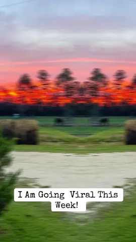 #creatorsearchinsights #elizabethsummerbell #alabama #sunsets #beautiful #xyzcba #fyp #viralvideo 