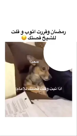 #الشعب_الصيني_ماله_حل 😂