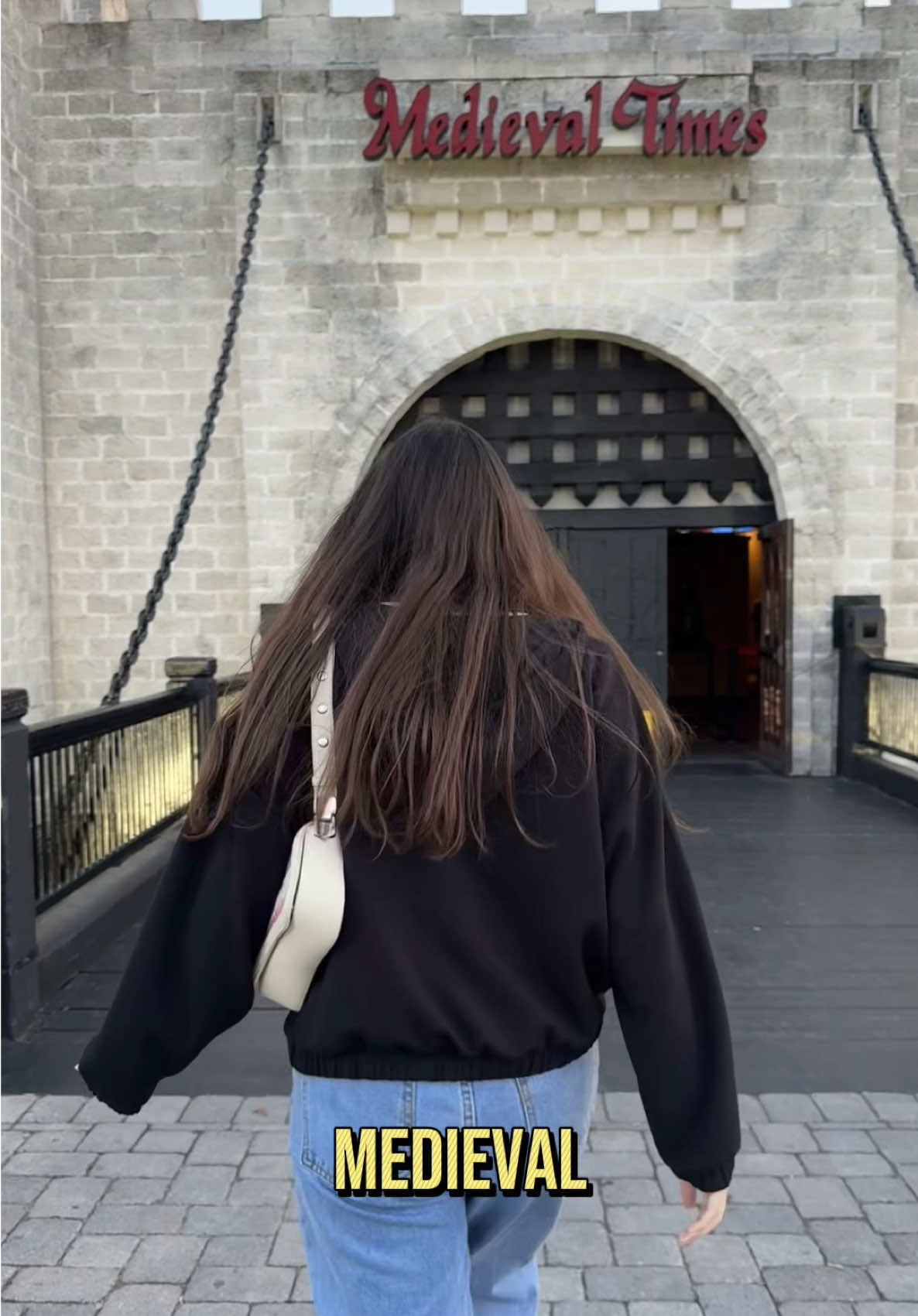 Fui a un castillo medieval 🏰⚔️ #pov #medieval #medievaltimes #orlando  @Medieval Times 