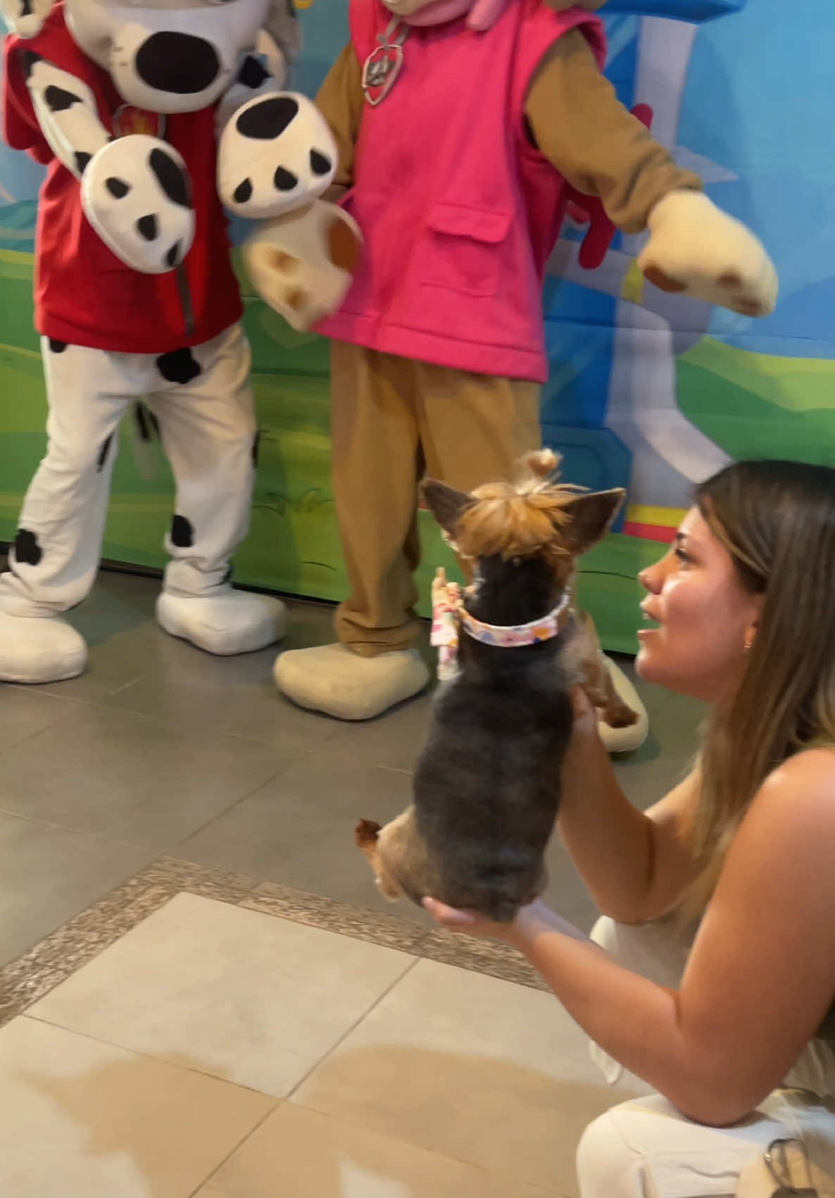 Es increíble como la vida puede dar un giro en un segundo 💔 eso nos recuerda lo importante que es valorar cada momento, cada gesto, cada presencia. Lolita nos enseñó eso, a vivir con alegría, a querer sin medida, y a dejar huella con pequeñas cosas. Lolita fue, es y será un ser muy especial, y estamos seguros de que sigue dejando su huella en cada persona que la conoció. Gracias por cada mensaje y video, me hacen bien al corazón 🥹🤍