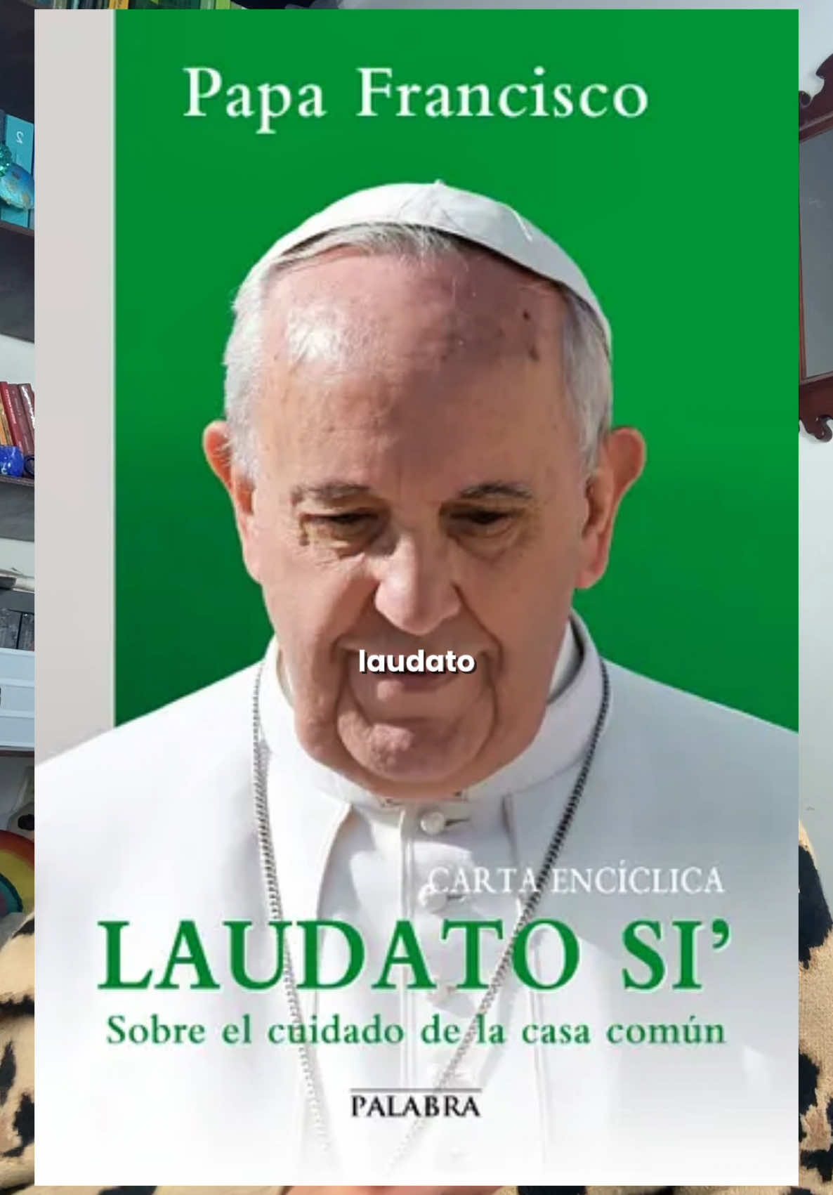 El Papa Francisco su legado ambiental y climático contribuyeron significativamente en la lucha contra la crisis climática 🌍🔥  Esperamos que el nuevo Papa león XIV continúe con este legado ✨ #laudatosi #papafrancisco 