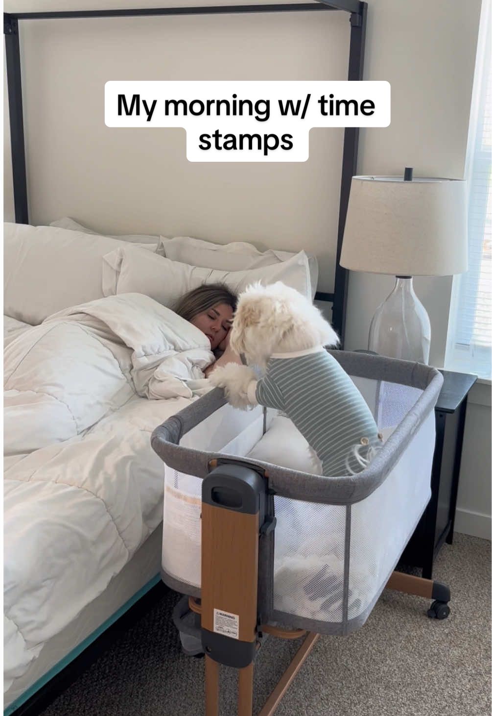 I asked Chat GPT why dogs are so happy to wake up in the morning because i was genuinely so curious and it’s because they live in the moment 🥺🥺 They don’t worry about yesterday or stress about tomorrow, they’re just excited for today. These mornings with Milo are my favorite kind of mornings. Slow, simple, and full of love.  He reminds me everyday how beautiful life can be when you wake up excited, live in the moment, and find joy in the little things. Let this be your reminder to make everyday count just like your dog does.  #dogmom #dog #cutepuppy #maltipoo #bestdog #puppy @Alani Nutrition @Angels' Eyes 