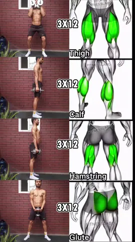 Leg Day at Home 🔥 4 Powerful Dumbell Exercise for Bigger Legs! 🦵 