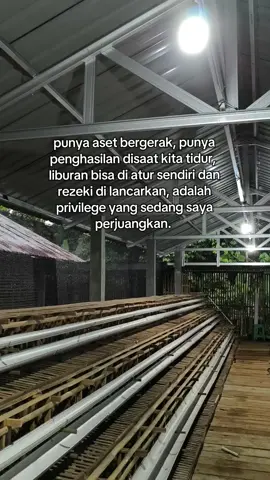 💪#peternakayampetelur #peternakmuda #bosmuda😎 #bisnisanakmuda #motivasihidup 