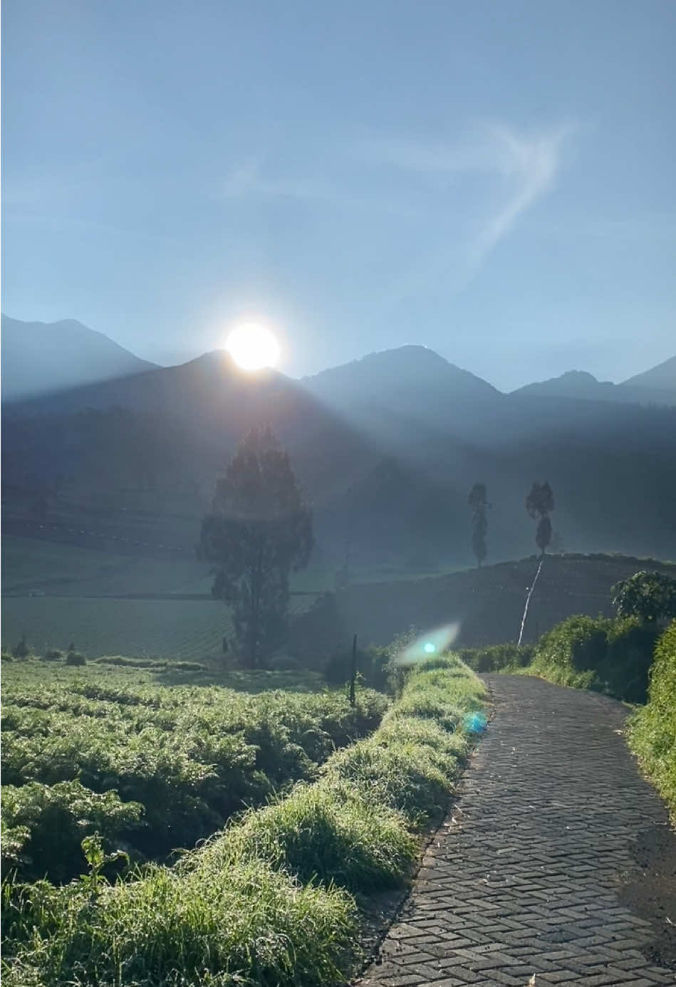 Niat berangkat habis subuh biar dapetin Sunrise di Brakseng Batu 🍃 . . . #brakseng #braksengcangar #cangar #braksengbatumalang #malang #exploremalang 