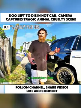 Dog Left to Die in Hot Car, Camera Captures Tragic Animal Cruelty Scene #cops #copsoftiktok #law #crime #bodycam #arrested #chaos #viral #trending #usa 