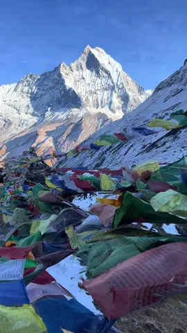 Annapurna Base Camp(ABC)❤️ #welcometozordyycity #nature #explore #annapurnabasecamp #abc #TravelNepal #trek #reels #trending #foryoupage 