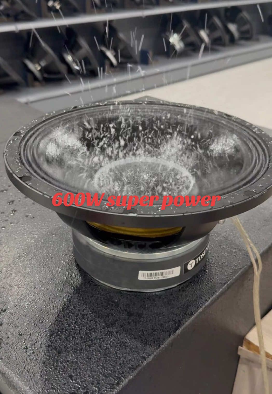 speaker test.12inchs，600watts.more please buy in my store #tosunra #subwoofer #speaker #audio 