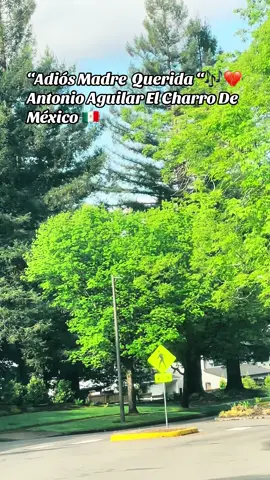 Adiosmadrequerida AntonioAguilar  #antonioaguilar#🇲🇽 #elcharrodemexico #paratii#fy#❤️#🎶