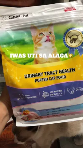 Problem mo ba ang pagkakaroon ng UTI ng alaga mo? Try cassiel pet cat food, ito lang naman ang cat food na nakaka help sakin maalagaan ang kanilang urinary health 💗 @cassiel @cassielive  #cassielpet #cassielph #cassielpetsupplies #cassielpetimmunebooster #catfood #urinaryhealth  # #CerealCerdik 