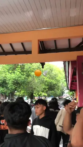 kami menaruh harapan lebih dengan adanya bupati terpilih yth. bapak @Sigit Pamungkas berharap lebih dengan terpilihnya bapak bisa menghidupkan kembali gairah sepakbola di kabupaten ini sudah hampir 6 tahun kota kecil ini tanpa sepakbola🟠🕊️#psisrasragen 