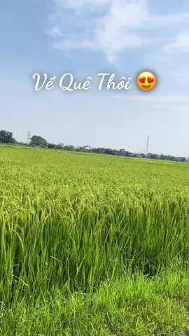 ##Quê Hương Nơi Chốn Yên Bình💜#2025 