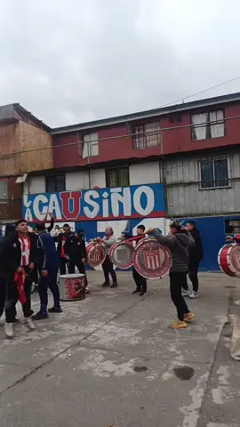 #losdeabajo🔴🔵  #lacausiñoterrorcomunal #udechile #paratiiiiiiiiiiiiiiiiiiiiiiiiiiiiiii #universidaddechile #fyp