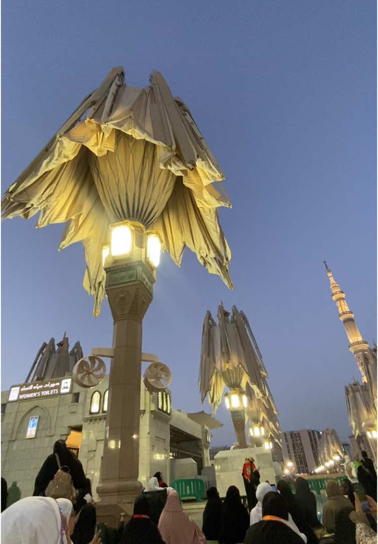 Proses terbukanya Payung-payung Masjid Nabawi 🥹💓 #haji #haji2025 #masjidnabawi #madinah 
