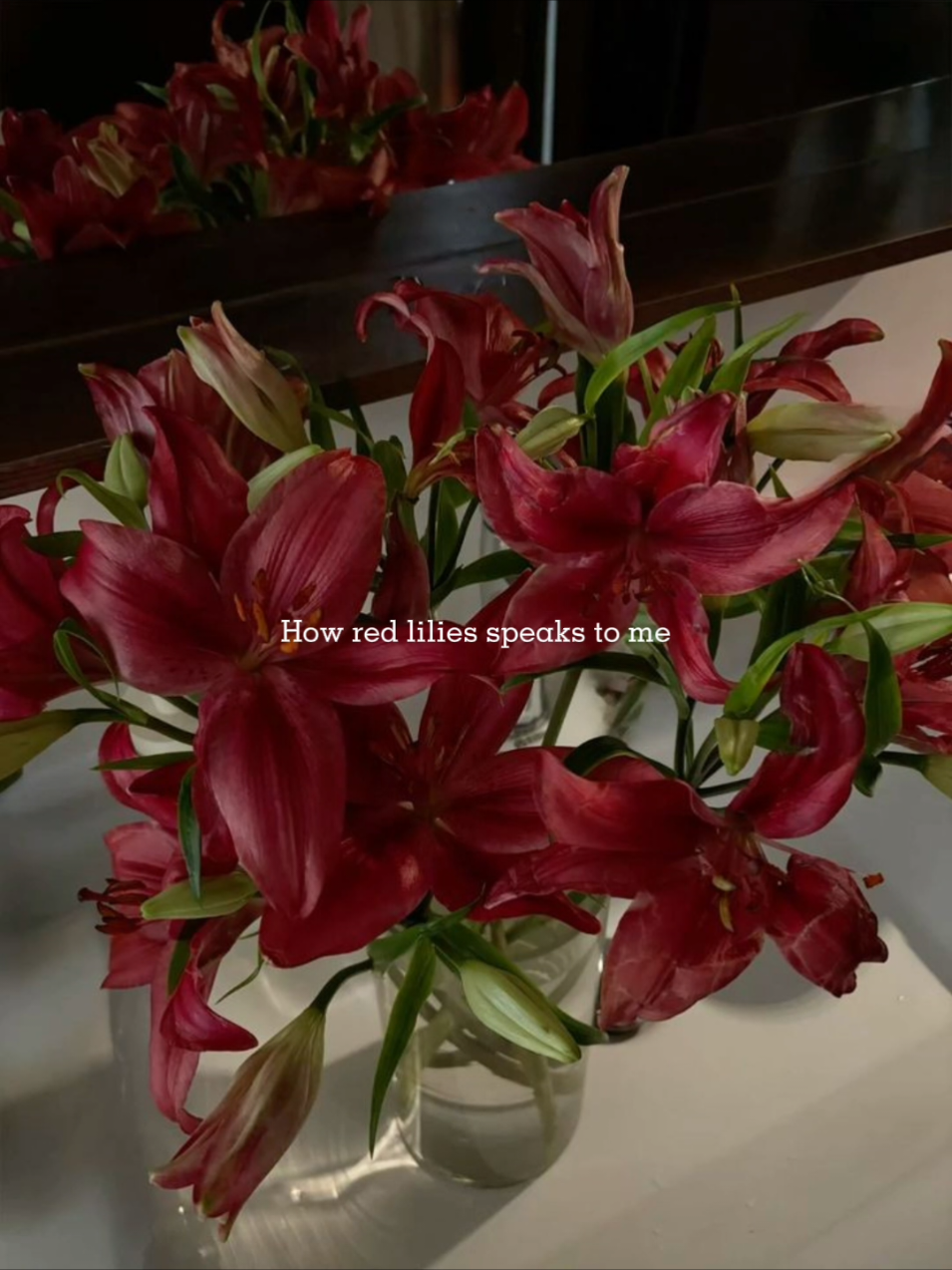My favorites btw❤️‍🩹 #foryoupage❤️  #heyhachi #lilies #redlilies #flower #flowers #cherryred 