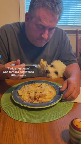 What if it was for puppies?@𝕙𝕒𝕝𝕖𝕤 @Tater #dogsoftiktok #may #hungry 