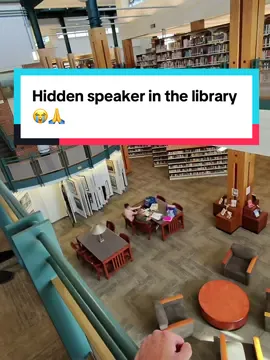 They never found it 😭 #fyp #troll #viral #prank #funny 