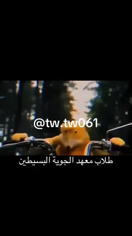 #معهد_الدراسات_الفنية_للقوات_الجويه 