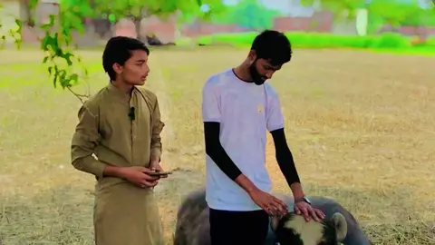 #virl_video  #❤‍🩹❤‍🩹🥺😔😢💔 @ZUBAIR GOLDY  @GuRu in Korea🇰🇷❤️ @Bhatti 4t6 👑 