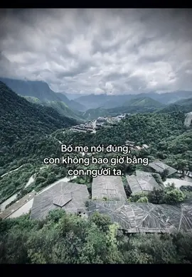 Bố mẹ nói đúng, con không bao giờ bằng con người ta. #fbtxuhuong #ctxkxuhuong #xhuong #fyp #tamtrang #tinhyeu @yêu quý đạt😙 