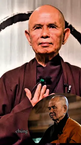 Chế tác năng lượng chánh niệm từ khổ đau  #chiasetutraitim #xuhuong #phatphapnhiemmau #thichnhathanh #trichdanhaymoingay #chanhniem #loikhannguyenhangngay #khodau #thichnhathanhoffical 