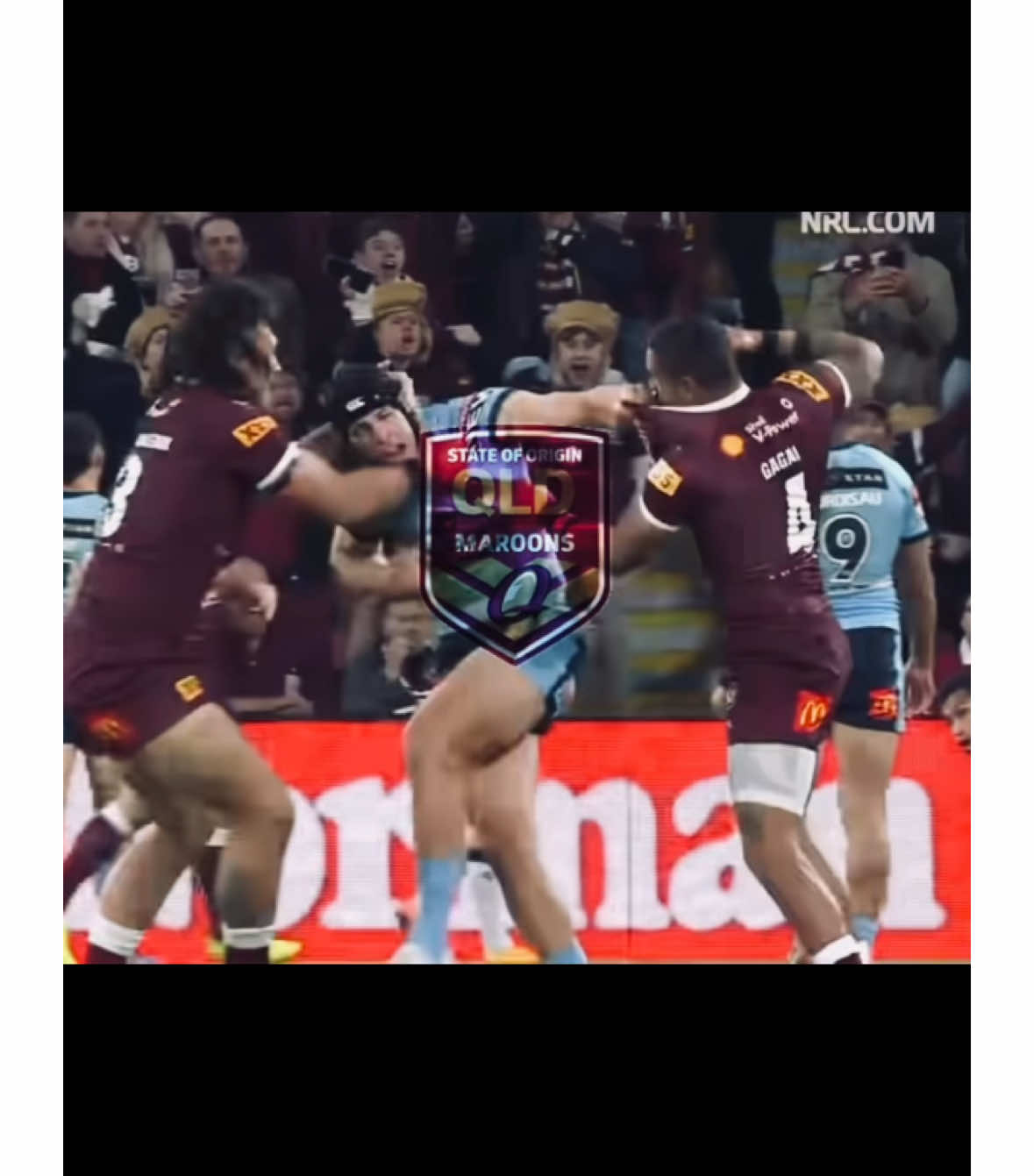 QLD to the world 🌏👅 // #nrl #QLD #nswass #betternotlose 