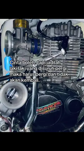Abot tapi gah ngemes🤣#tigerdiamarta #gusta_kecenk 