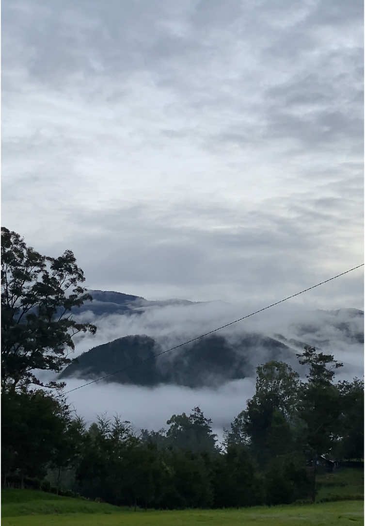 View from Negeri Diatas Awan Pirime, Lanny Jaya, Wamena - Papua 💙🦄  . #papua #wamena #pirime #lannyjaya #view #moment #escape #