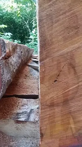 #treesurgeon #treecut #chainsawskills #splittingwood #carpentry #furniture #woodworking #chainsaw #creatorsearchinsights 