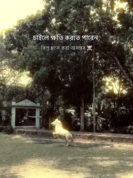 🤝#foryou #foryoupage #viralvideo #bdtiktokofficial #idfreezed 