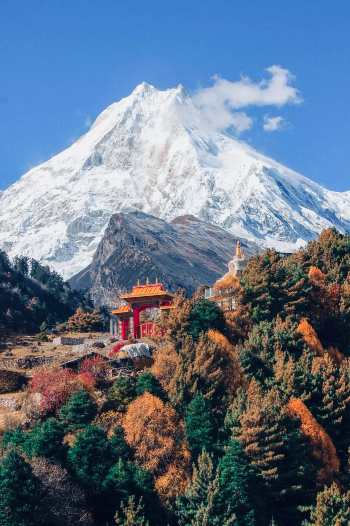 Nepal is renowned for its stunning natural beauty, encompassing everything from the majestic Himalayas to lush valleys and diverse wildlife habitats. The country's diverse landscape, ranging from the lowlands of the Terai to the towering Himalayan peaks, offers breathtaking scenery and a variety of outdoor activities. Nepal is home to eight of the world's ten highest mountains, including Mount Everest, making it a paradise for trekkers and mountaineers. The country's rich biodiversity. #nepalitiktok #nepal #fypage #nature #mountain #naturalbeauty #trekking #mustang #muktinath #jomsom #pokhara #lakesidepokharanepal🇳🇵 