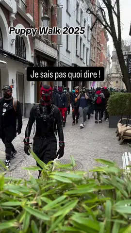BREAKING – Puppy Walk 2025 - des hommes en laisse défilent pour la diversité canine. Oui, tu as bien lu.Non, ce n’est pas un délire de ChatGPT sous Red Bull. C’est la réalité 2025 - des gentlemen à quatre pattes... #pourtoi