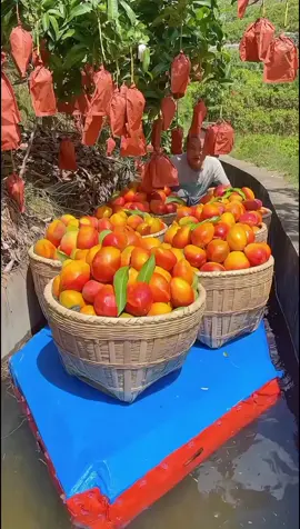 OMG 😱🍀☘️🌱🔥💥💫#happy #fyp #asmr #fruit #threefarmers 