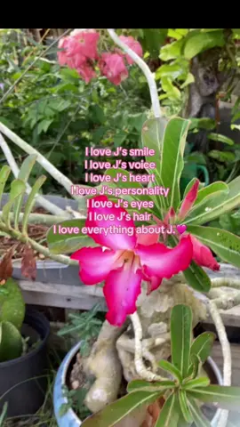 Chat i love him 😔#J #iloveJ #j #initials #him #mymanmymanmyman #myman #viral #xyzbca 
