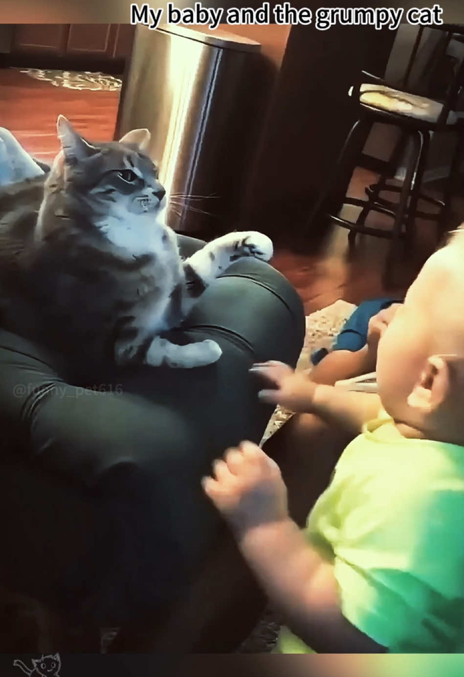 My baby and my grumpy cat.👶🏻😾🐱#fyp #funny #funnyanimals #pet #petcat #funnycat #baby 