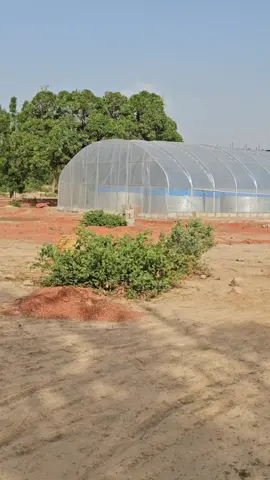 INSTALLATION MODERNE  #CapCut #tiktok #agriculture 