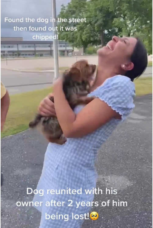 A Dog Reunited 🥰🐶#dog #dogsoftiktok #doglover #renuited💗 #Love #lovestory #lost #funny #cute #fypシ 