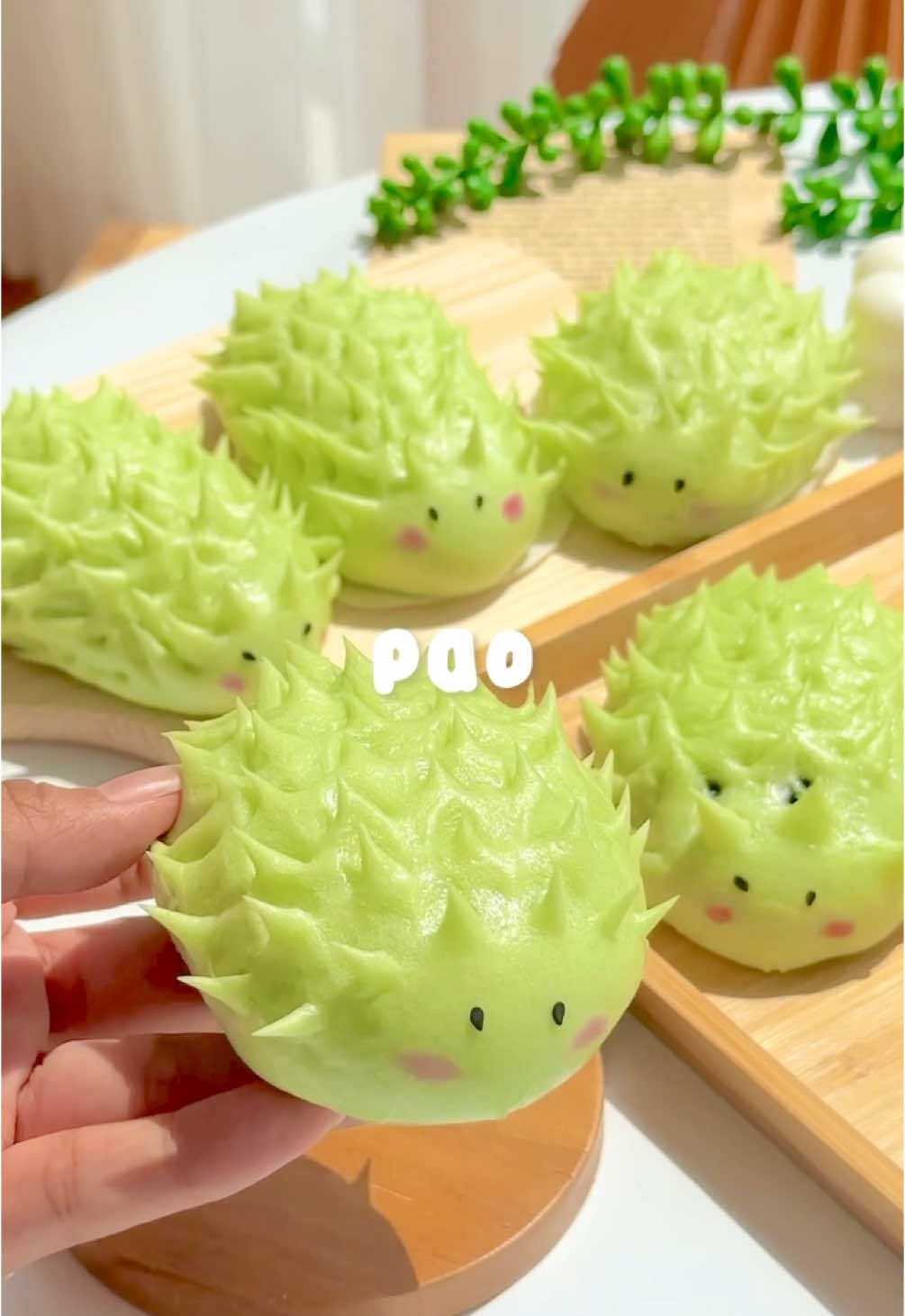 pao pandan chocolate🦔🎋 selain bentuknya yang cute, ini juga rasanya lembut dan enak banget lohh!😍 ohiya resep indo ada di video yaa, dan jangan lupa ikutin tips dan stepnya supaya berhasil, selamat mencoba🫶🏻 eng recipe: • 140ml warm water • ⁠1tsp instant yeast • ⁠2tbsp sugar • ⁠1/2tsp pandan paste • 250gr low protein flour • ⁠1/2tsp baking powder • 1/2tsp salt • ⁠2tbsp oil • ⁠dcc recipe ib: dapur nana’s on yt🤍 tips📝: 1. pastiin semua bahan-bahan suhu ruang dan ragi aktif (air ragi berbusa dan mengembang) 2. ⁠uleni sampai kalis 3. ⁠saat membentuk tutup adonan dengan kain supaya ga kering 4. ⁠panaskan kukusan sebelum mengukus 5. ⁠jangan buka tutup kukusan  6. ⁠kukus dengan api kecil-sedang 7. setelah dikukus 10 menit, matikan api lalu tunggu dan diamkan 3 menit baru kukusan dibuka, agar pao tidak mengkerut step by step divideo yaa☺️ ❗️DILARANG REUPLOAD VIDEO INI❗️ follow me for more💖 #foryoupage #fyp #aestheticcooking 