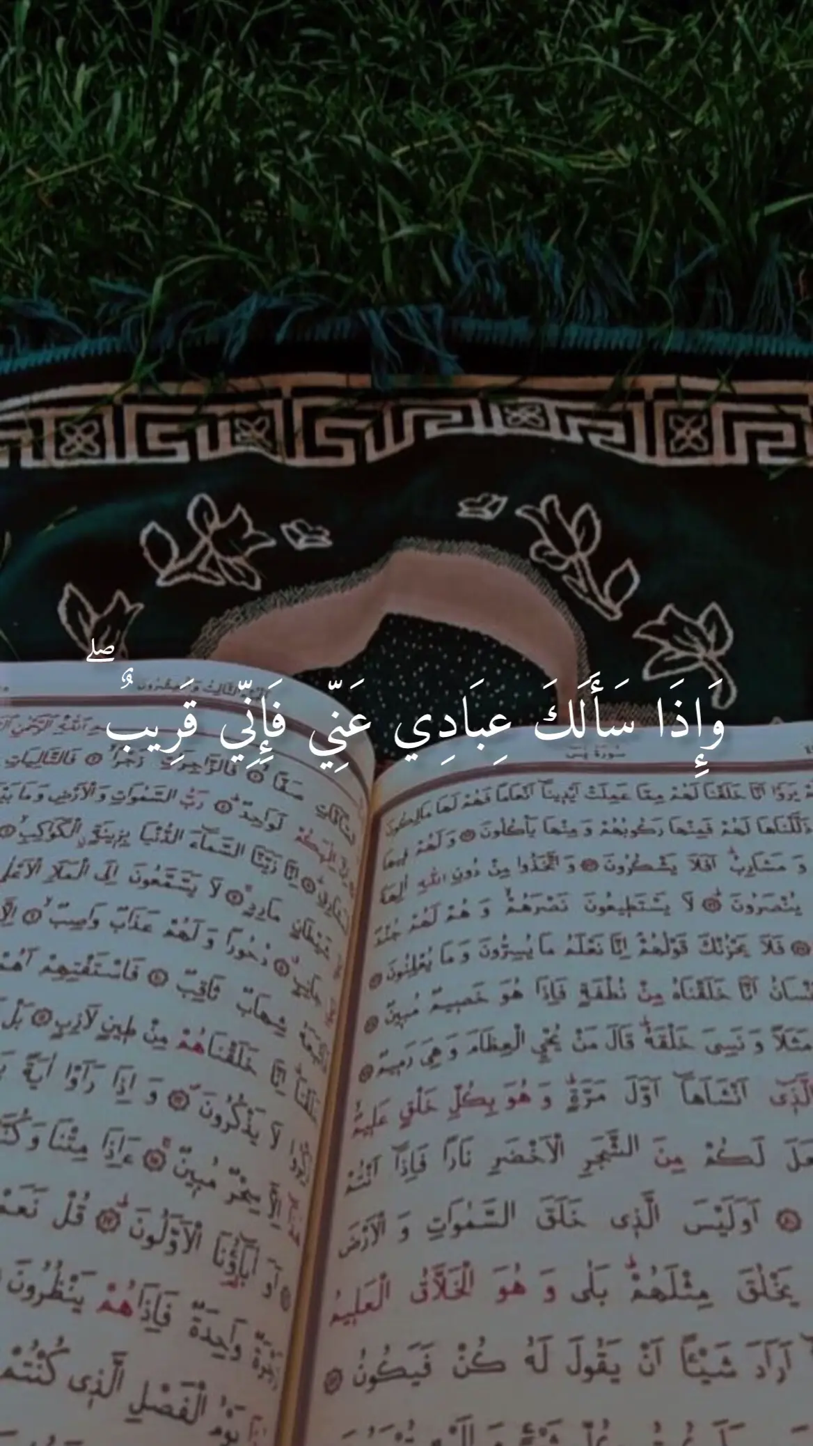 ##واذا سالك عبادي عني فاني قريب #قران  #تلاوة_خاشعة  #ماهرالمعيقلي  #quran 