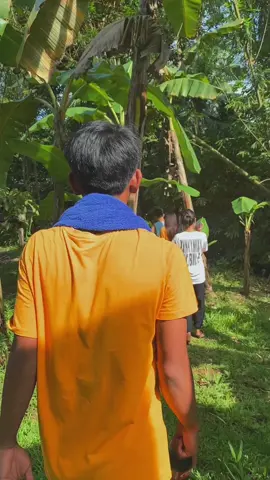 #paderfalls#naturevibes#fyp 