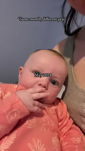 #CapCut #Meme #MemeCut #CapCut #blowthisupforme #100kviews #viral_video #fyp 