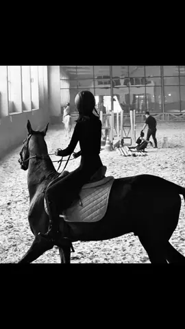 #horses #horsegirl #equestrian #horserider #fyp #horselover 