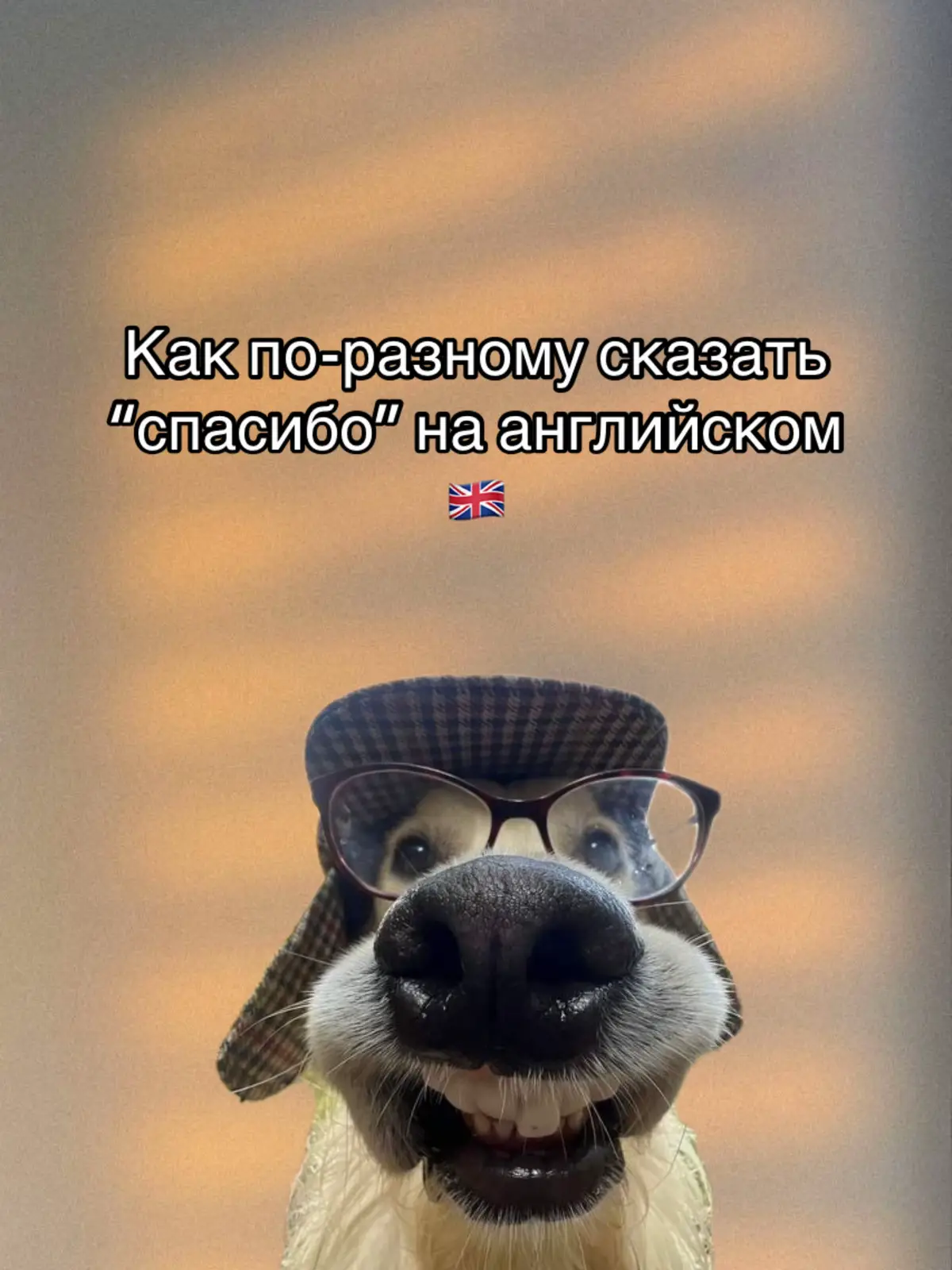 #английский #английскийязык #английскиеслова #вокабуляр #учиманглийский #englishvocabulary #learnenglish #englishlearning #englishdaily #изучениеанглийского #фразынаанглийском #английскийдляначинающих #englishwithme #englishpractice #словадляжизни #естественныйанглийский #разговорныйанглийский