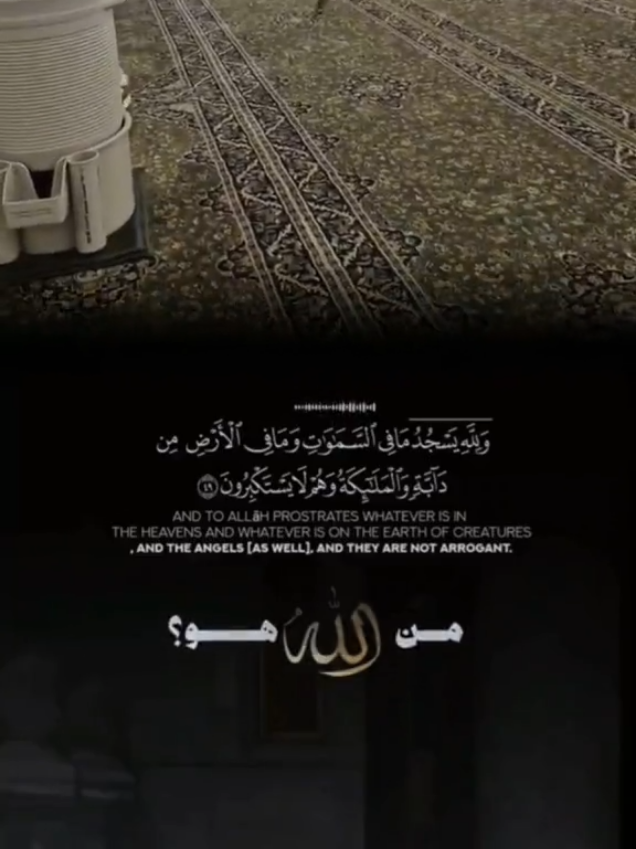 #من_هو_الله #لا_اله_الا_الله #سبحان  #سبحان_الله_وبحمده_سبحان_الله_العظيم 