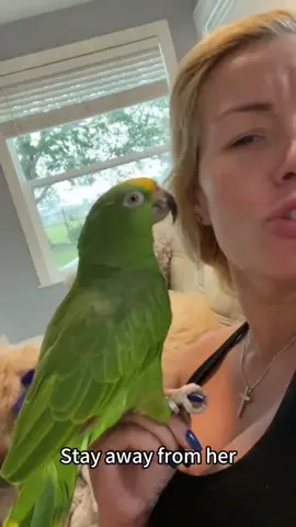 Parrot vs dog#funny #funnyvideo #dog #funnydog #fpy #pet 