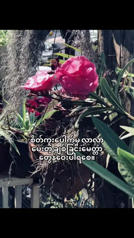 ချစ်ခြင်းမေတ္တာဆိုတာရိုးသားရတယ်❤️‍🩹 #fyppppppppppppppppppppppp#foryoupage#fypシ#fypシ゚viral🖤video#song#viwes#crd#sosad😭#feelings 