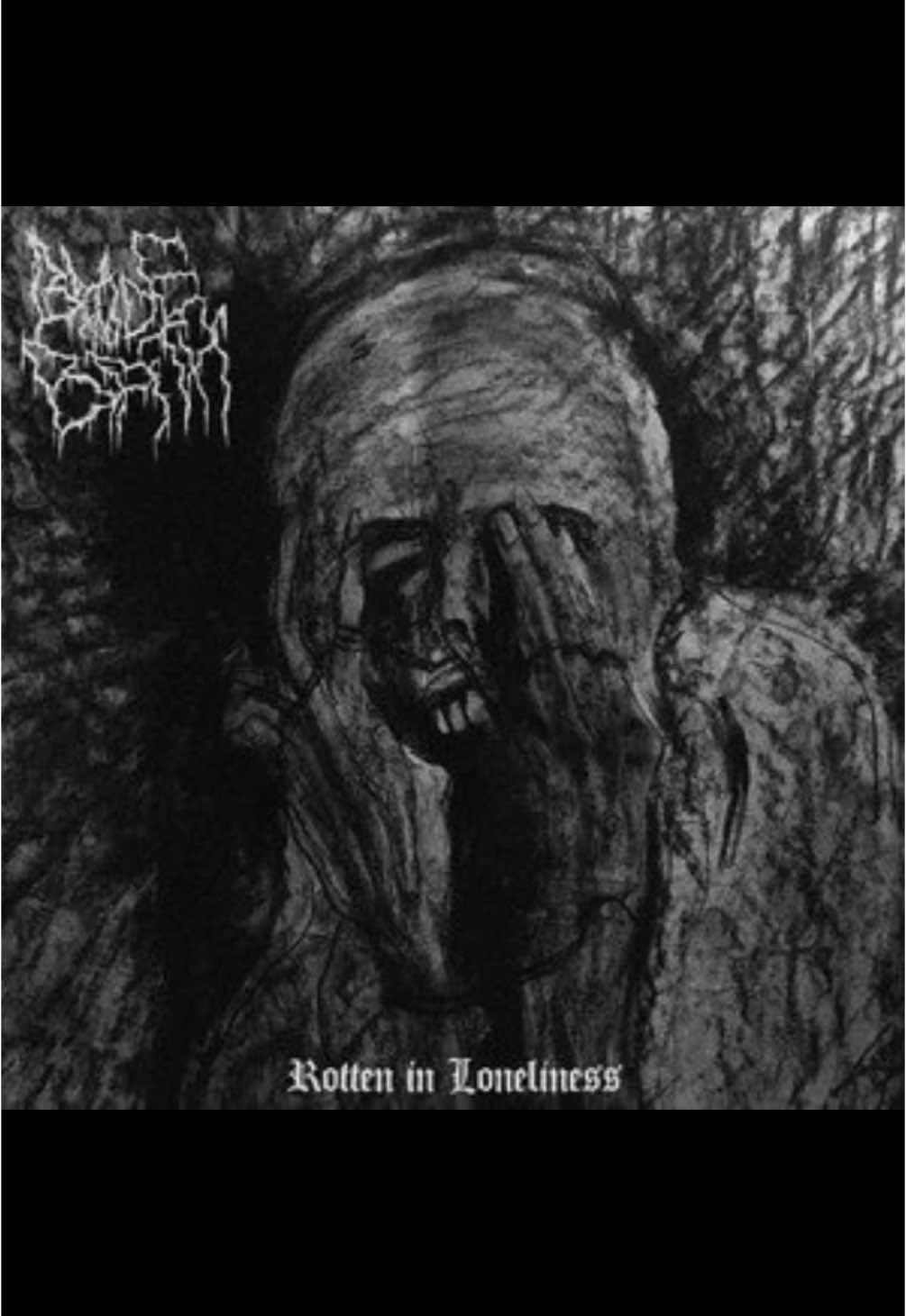 Blade and bath - Frustrated #bladeandbath #frustrated #blackmetal #dsbm #metal #darkness #depressiveblackmetal #foryou #scream #sorry #fyp 